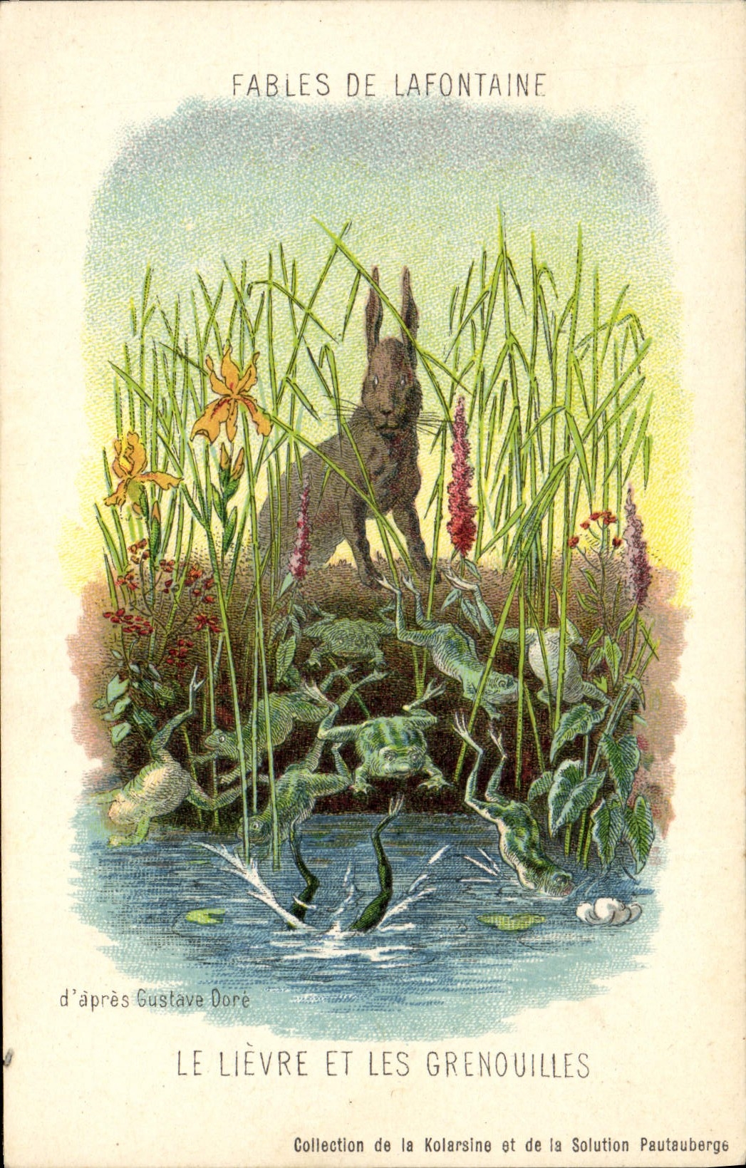 Le Lièvre et les Grenouilles — Fables de La Fontaine — d'après Gustave Doré — Collection de la Kolarsine et de la Solution Pautaubeerge