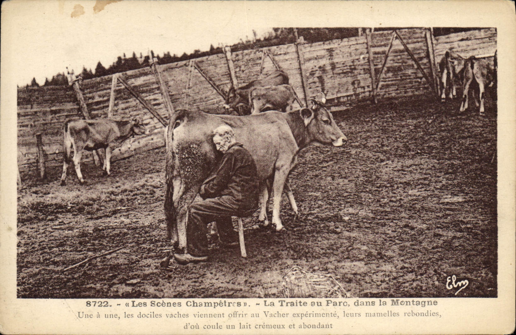 CPA Folklore La traite au parc dans la montagne Vache 