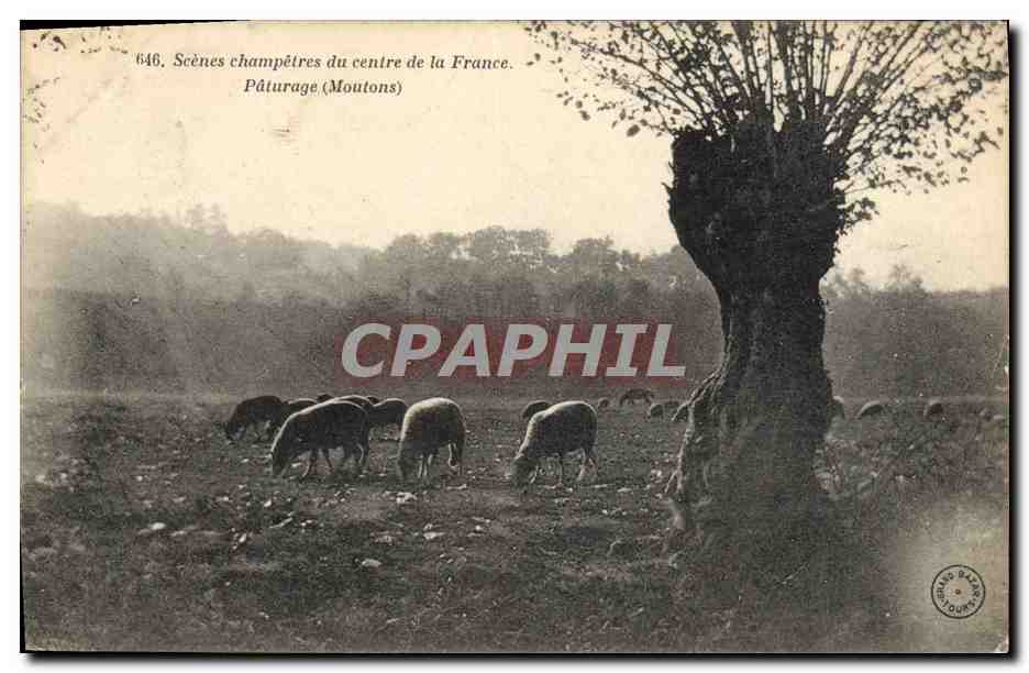 CPA Scenes champetres du centre de la France Paturages Moutons 