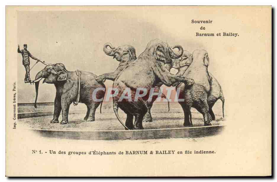 CPA Cirque Barnum et Bailey Un groupe d'elephants en file indienne Elephant