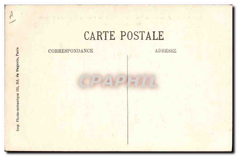 Paris - Jardin des Plantes - Zèbre de Potock - Equus Potocki - Afrique Sud-Est — Achterkant