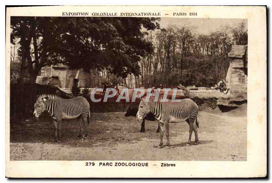 CPA Paris Exposition coloniale internationale 1931 Parc zoologique Zebres 