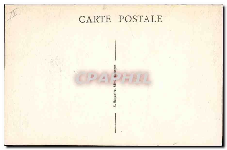 CPA Bourges Museum d'Histoire Naturelle Girafe  — Rückseite