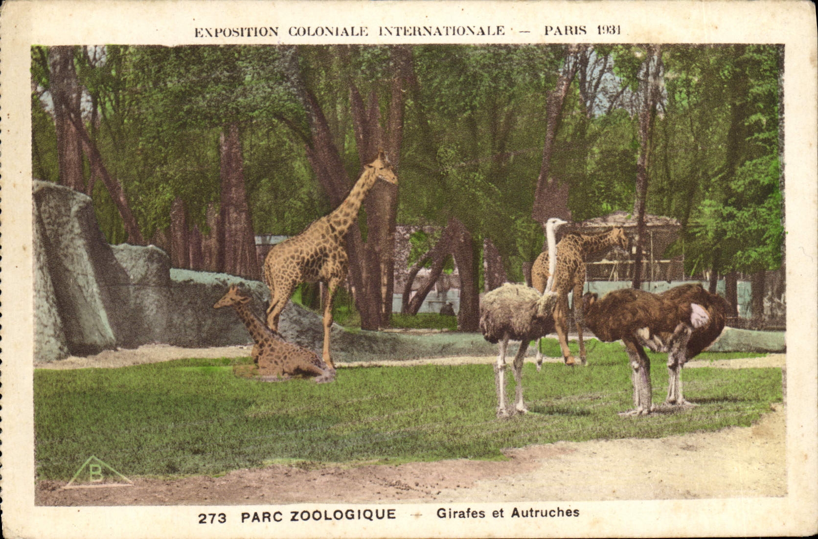 CPA Paris Exposition coloniale internationale 1931 Parc zoologique Girafes et autruches 