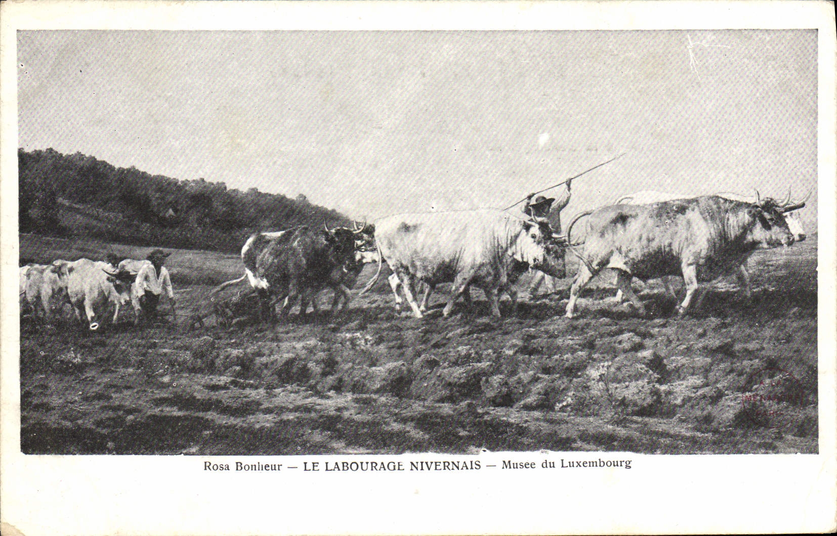 CPA Rosa Bonheur Le labourage Nivernais Musee du Luxembourg 
