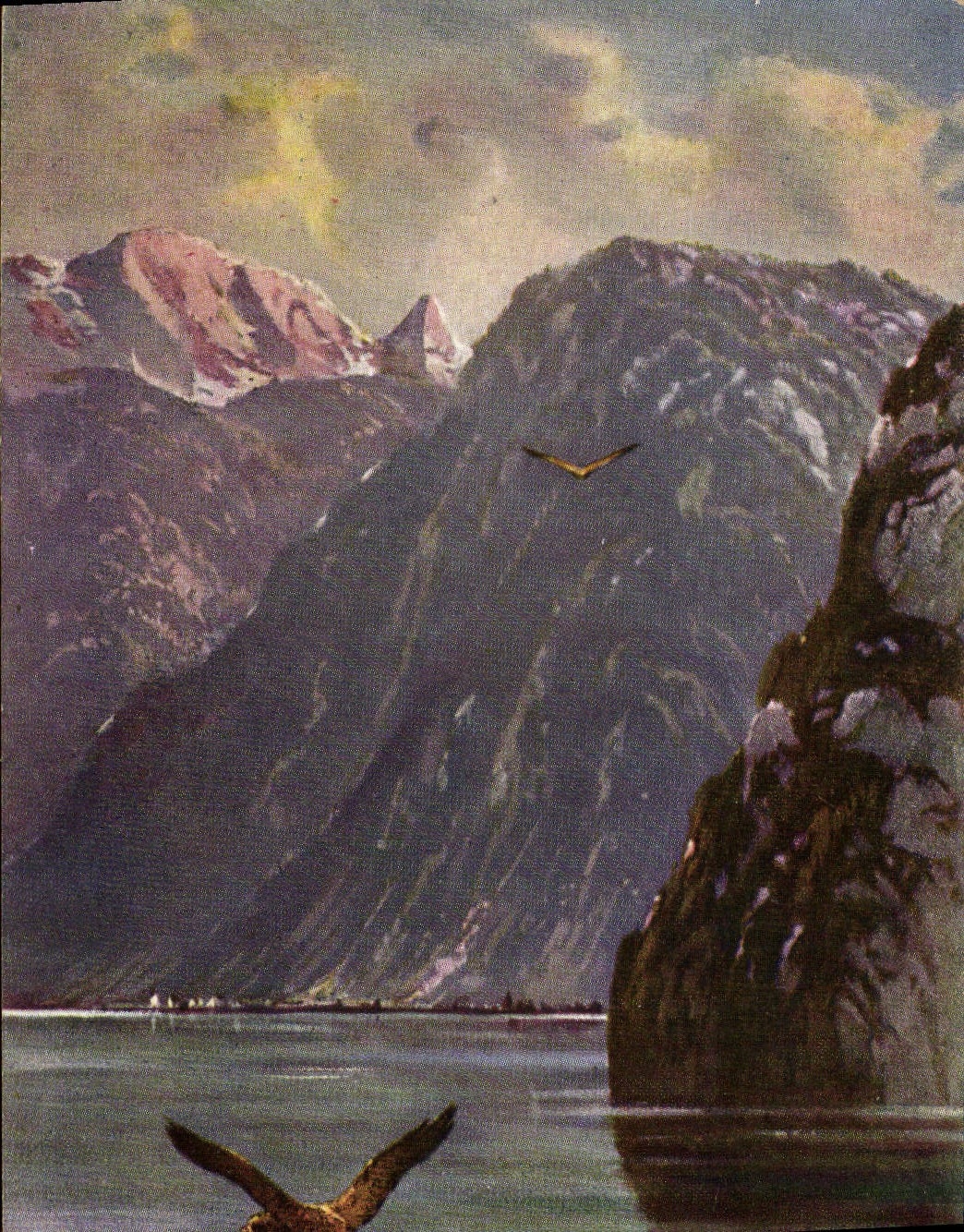 CPA Rapace 