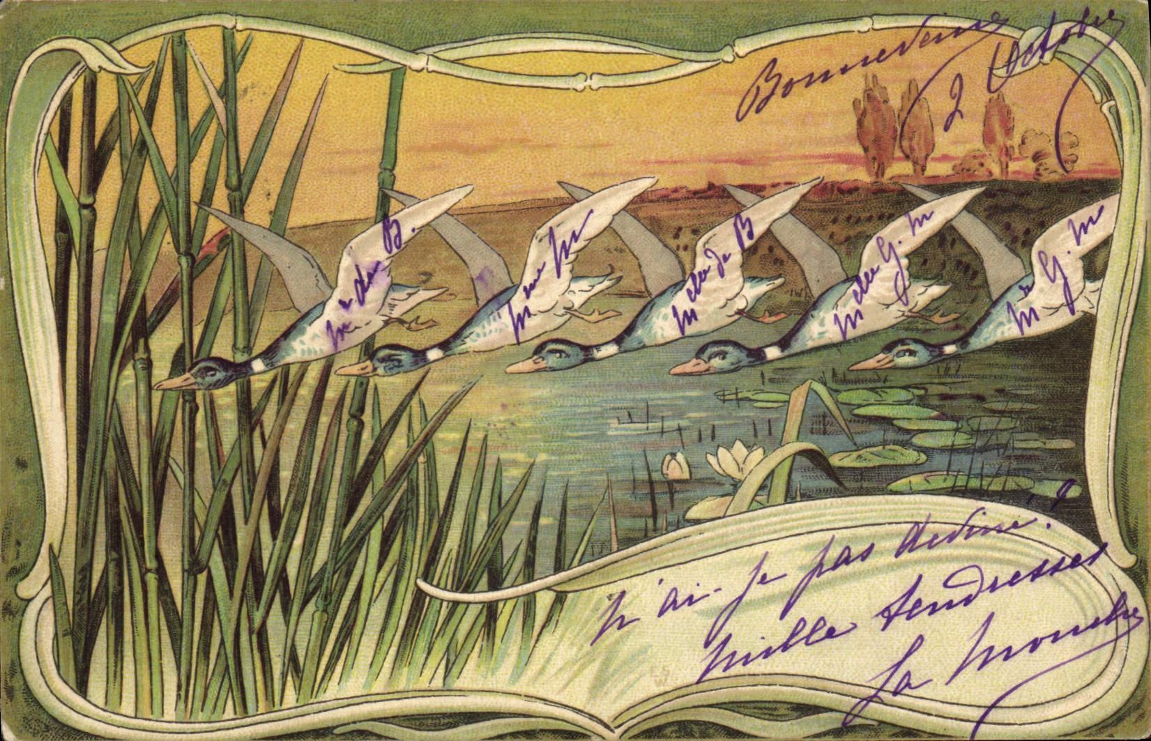 CPA Fantaisie Illustrateur Canard Canards 