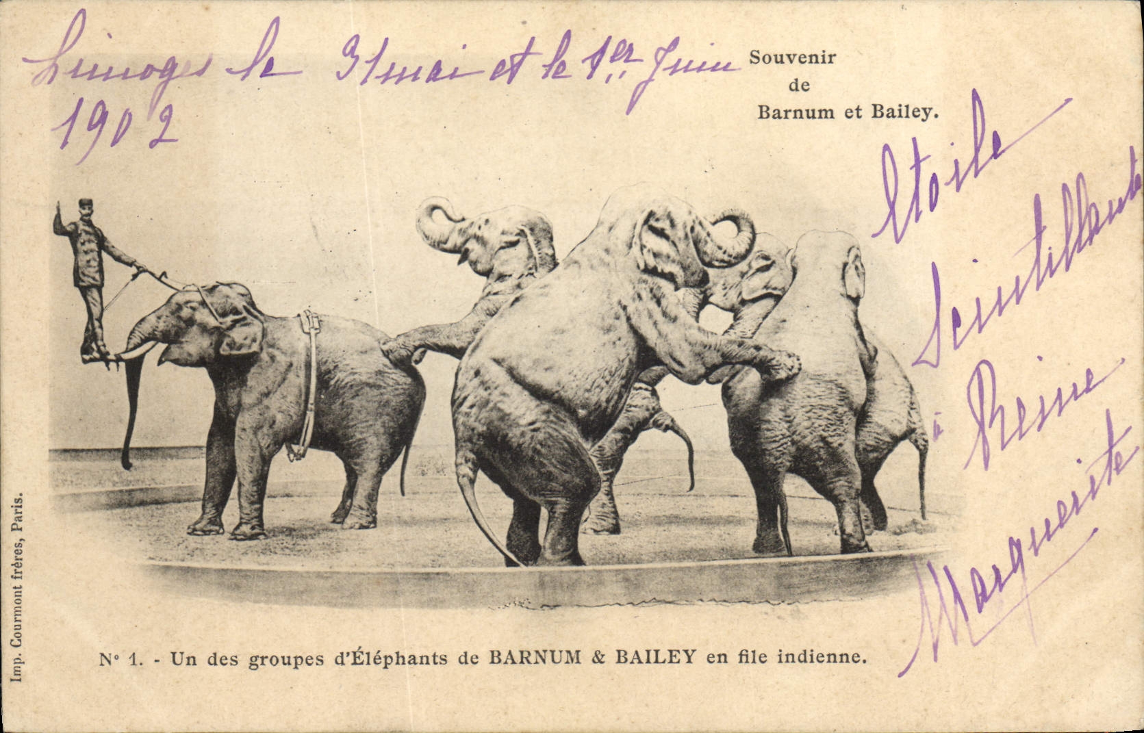 Groupes d'Éléphants de Barnum & Bailey en file indienne — Imp. Courmont Frères, Paris, N° 1