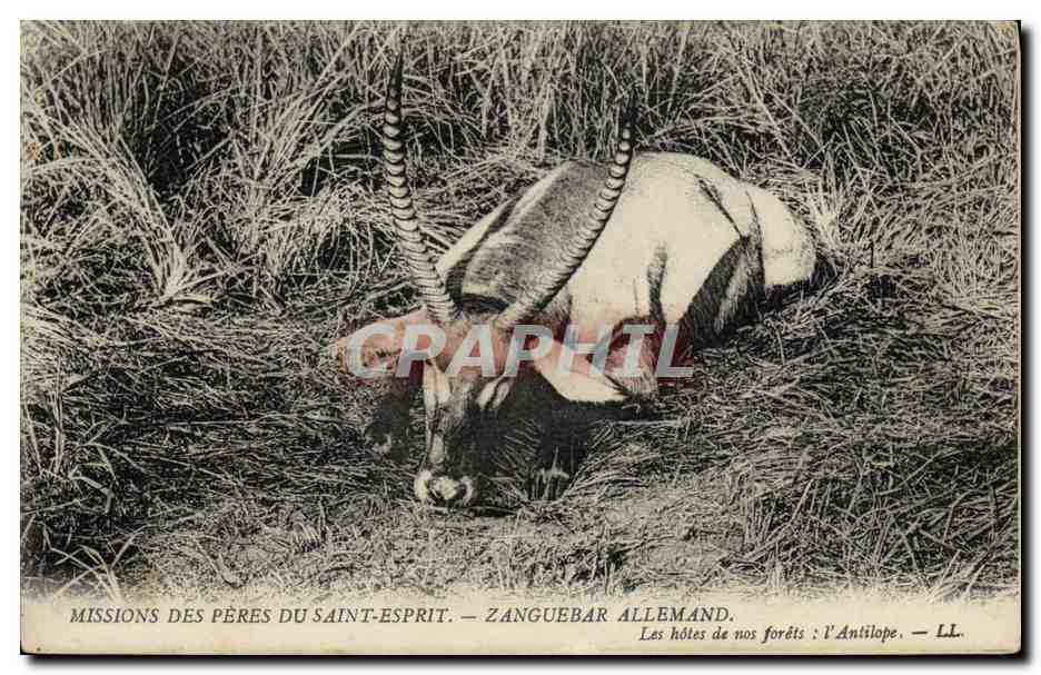 Zanguebar Allemand — Les hôtels de nos forêts : l'Antilope — LL.