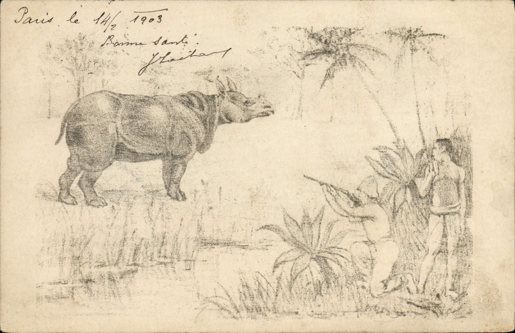 Rhinocéros en forêt tropicale — Paris, 14/6/1903 — Bonne Santé, Y. Glaisher