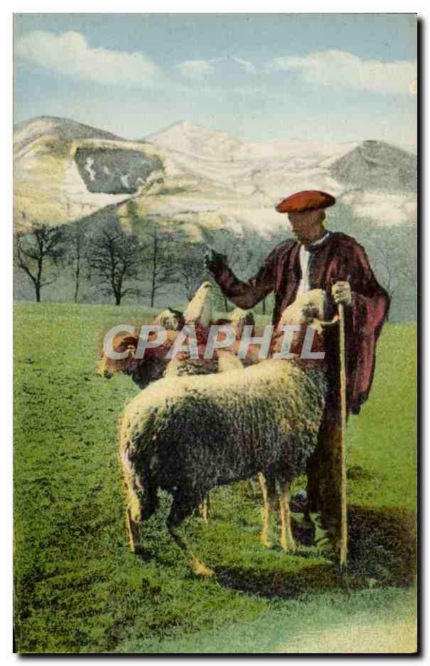 CPA Pyrenees Moutons Patre en montagne le sel aux moutons 