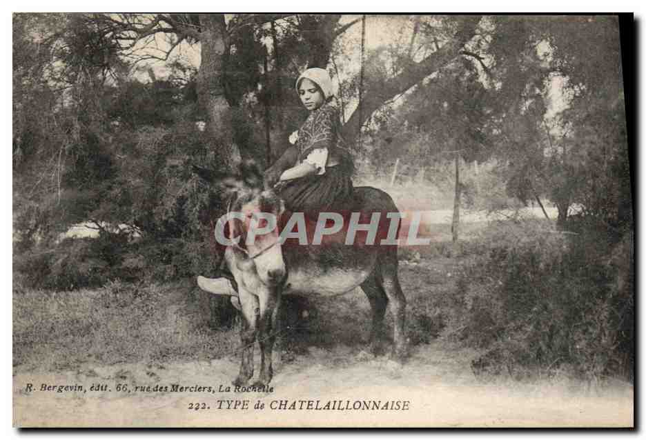 CPA Folklore Type de Chatelaillonnaise Ane Mule Femme 