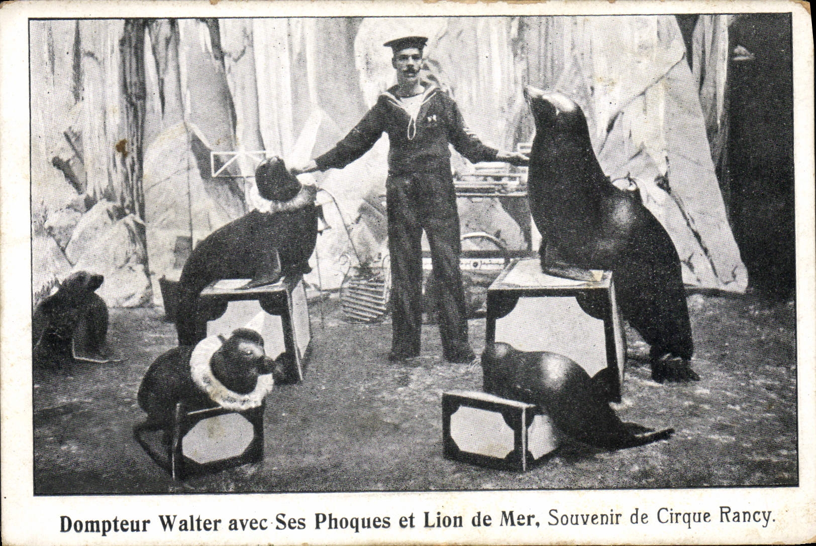 CPA Dompteur Walter avec ses phoques et lion de mer Cirque Rancy 