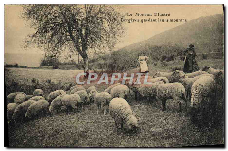 Bergères gardant leurs moutons — Le Morvan Illustré