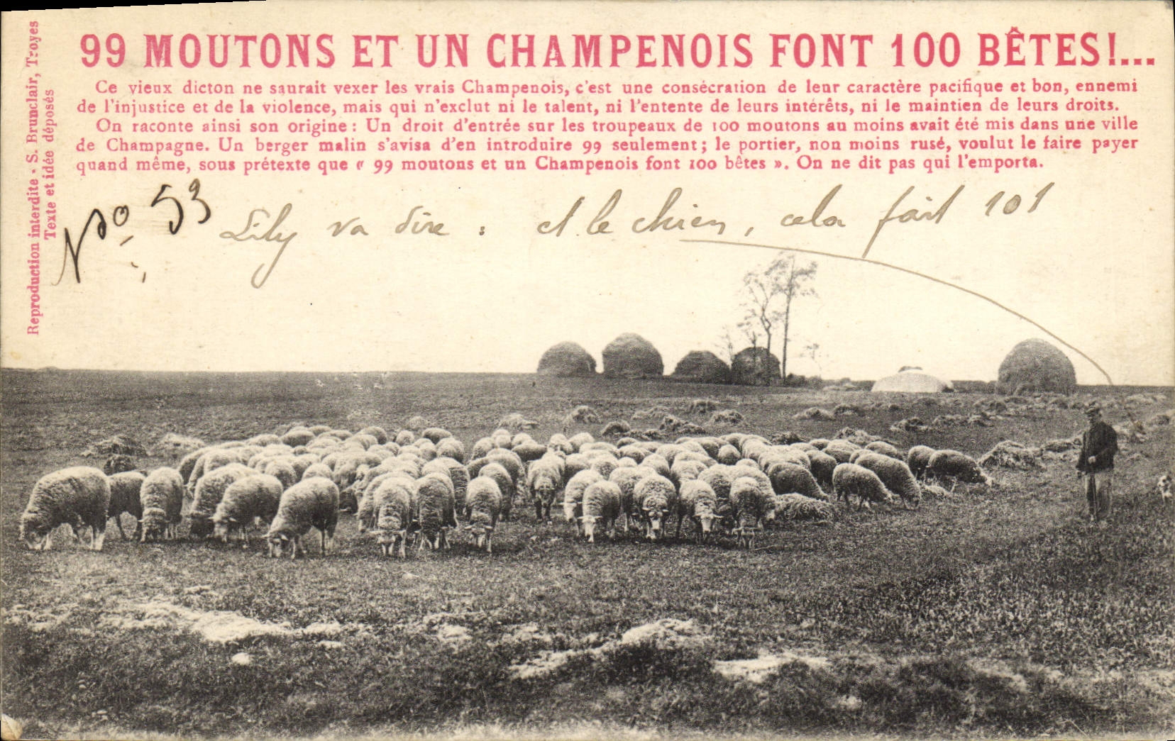 99 MOUTONS ET UN CHAMPENOIS FONT 100 BÊTES! — S. Brunclair, Troyes, n°53