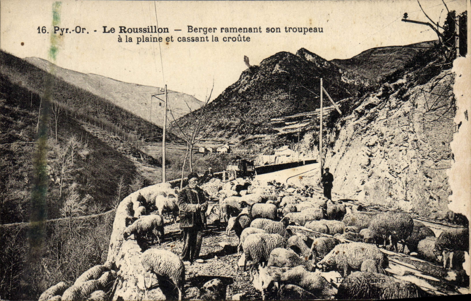 CPA Roussillon Berger ramassant son troupeau a la plaine et cassant leur croute