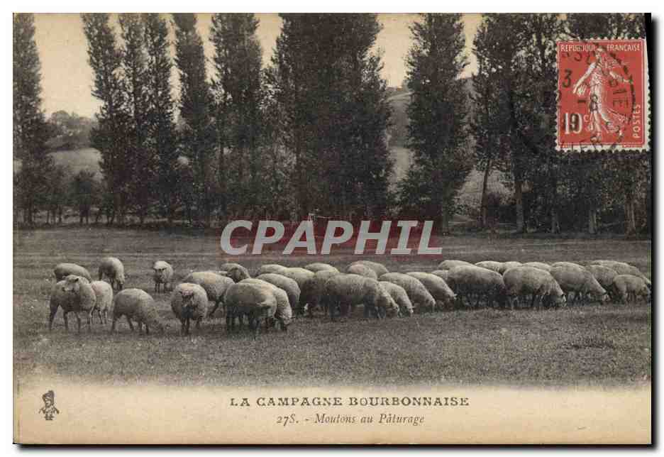 La Campagne Bourbonnaise — Moutons au Pâturage — Éditeur : Béguin, St-Germain (Allier) ; n° de série 278