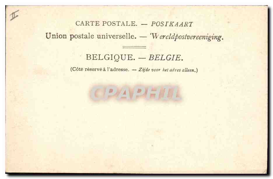 CPA Anvers Jardin zoologique Daims mouchetes Zoo  — Rückseite