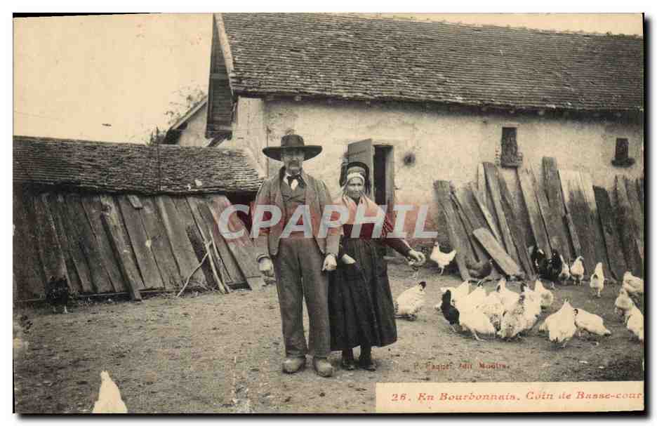 CPA Folklore en Bourbonnais Coin de basse cour 