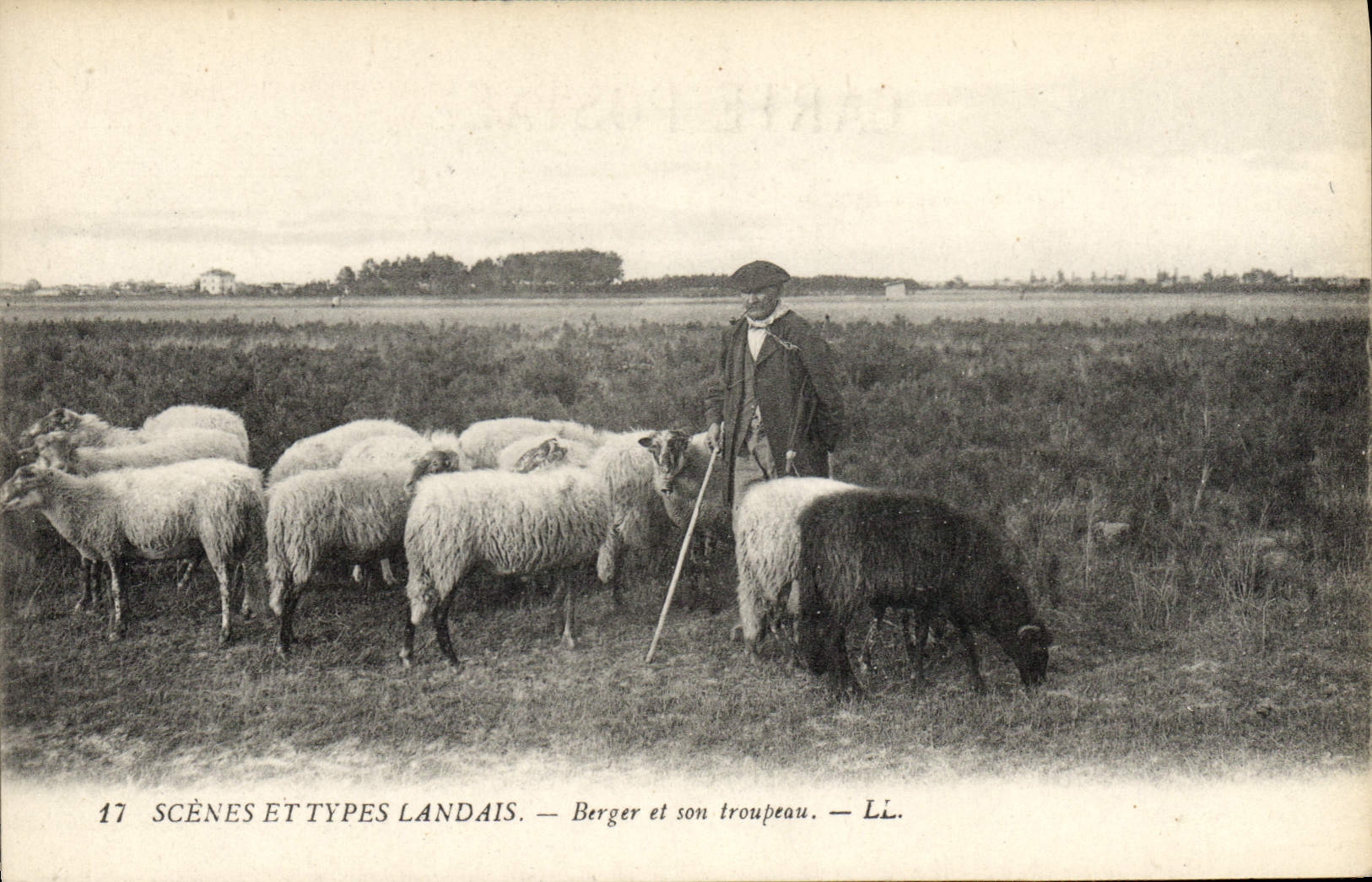 CPA Folklore Berger et son troupeau Moutons 