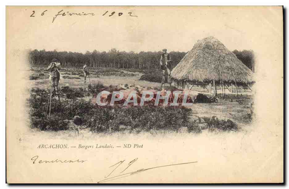 CPA Folklore Arcachon Bergers landais Moutons