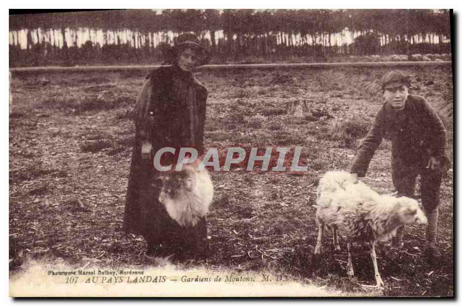 CPA Folklore Au Pays Landais Gardiens de moutons 
