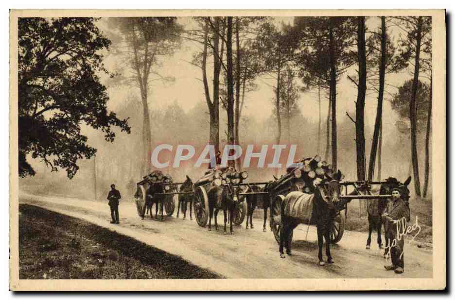 CPA Folklore Effet de brume dans la foret Les Bross Landes 
