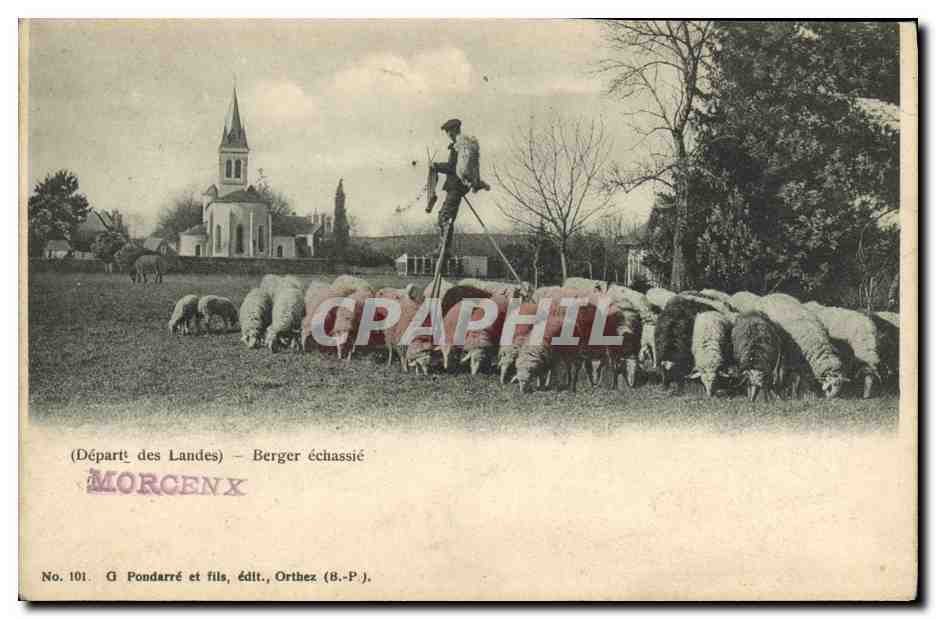CPA Folklore Landes Berger echassie Moutons