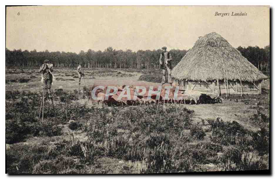 CPA Folklore Bergers landais Moutons