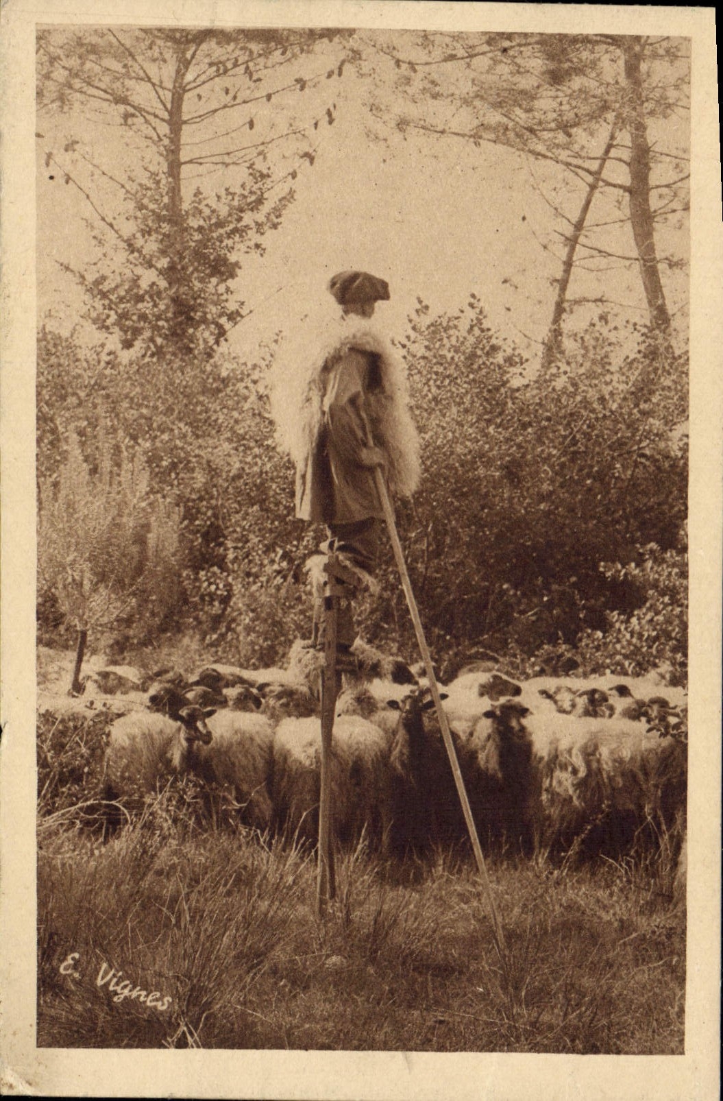 CPA Folklore Un echassier gardant ses moutons 
