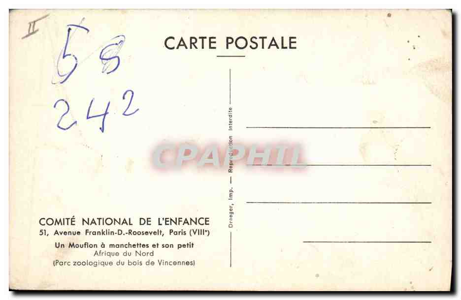 CPA Un mouflon a manchettes et son petit Afrique du Nord Zoo Vincennes  — Rückseite