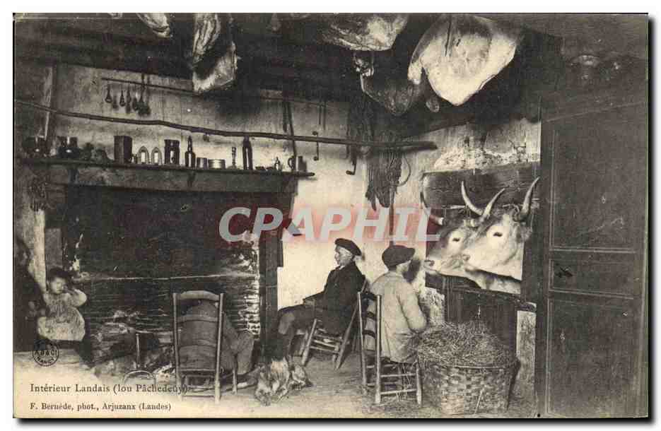 CPA Folklore Interieur landais Boeufs
