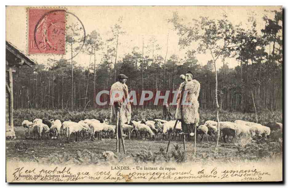 CPA Folklore Landes Un instant de repos Moutons