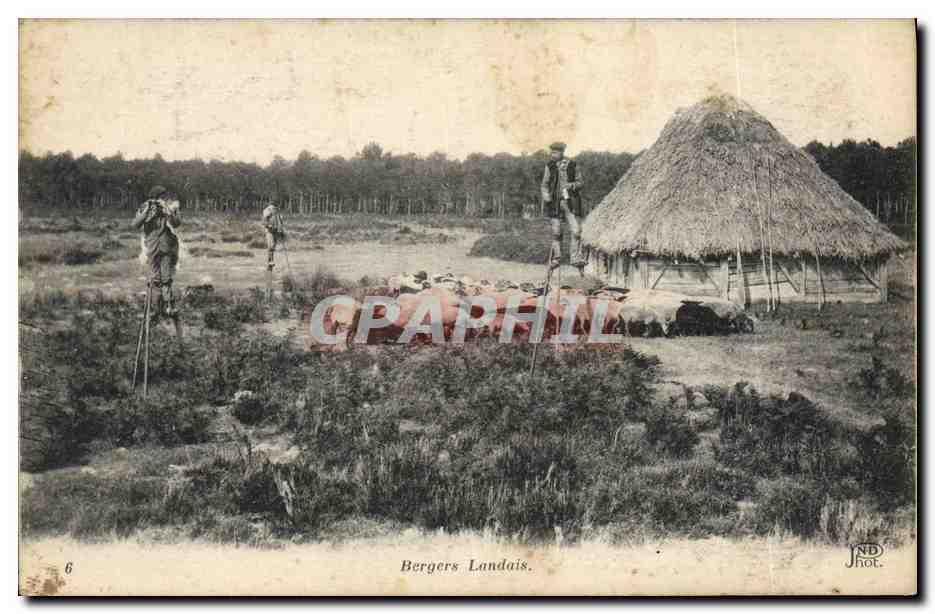 CPA Folklore Berger landais Moutons