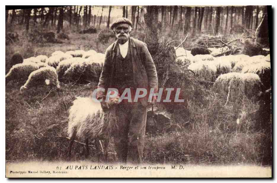 CPA Folklore Au Pays Landais Berger et son troupeau Moutons