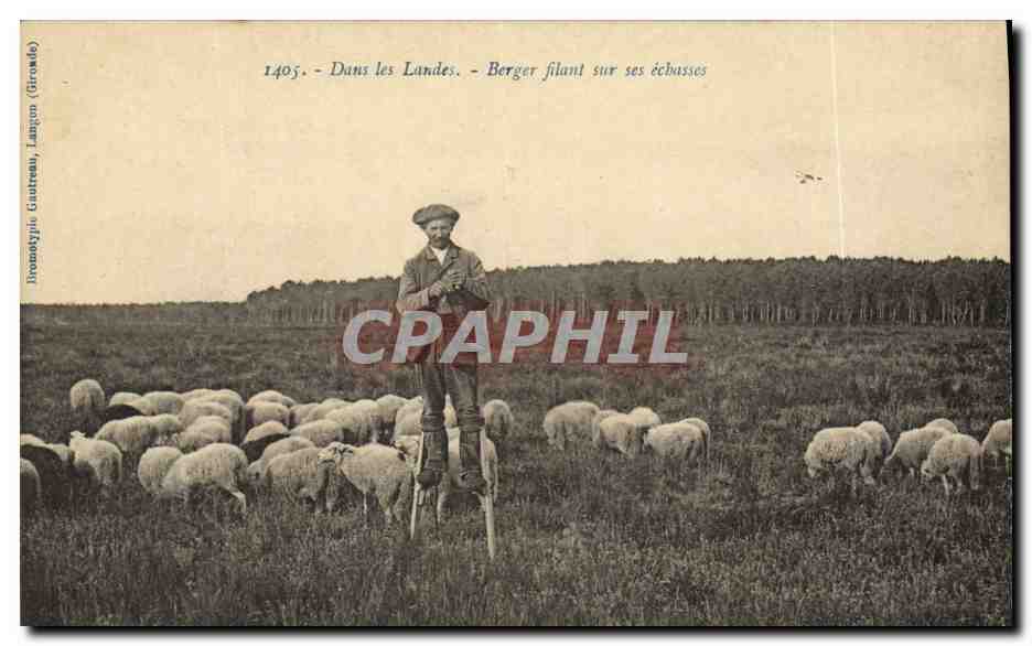 CPA Folklore Dans Les Landes Berger filant sur ses echasses Moutons
