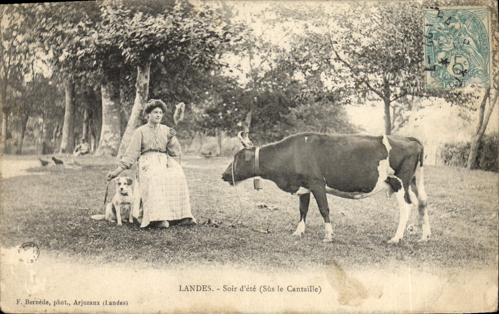 CPA Folklore Landes Soir d'ete Sus le Cantaille Vache