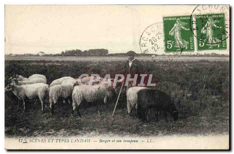 CPA Folklore Landes Berger et son troupeau Moutons