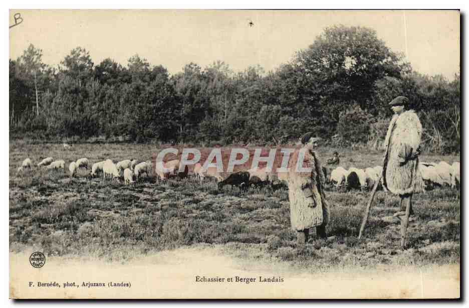CPA Folklore Echassier et berger landais Moutons 