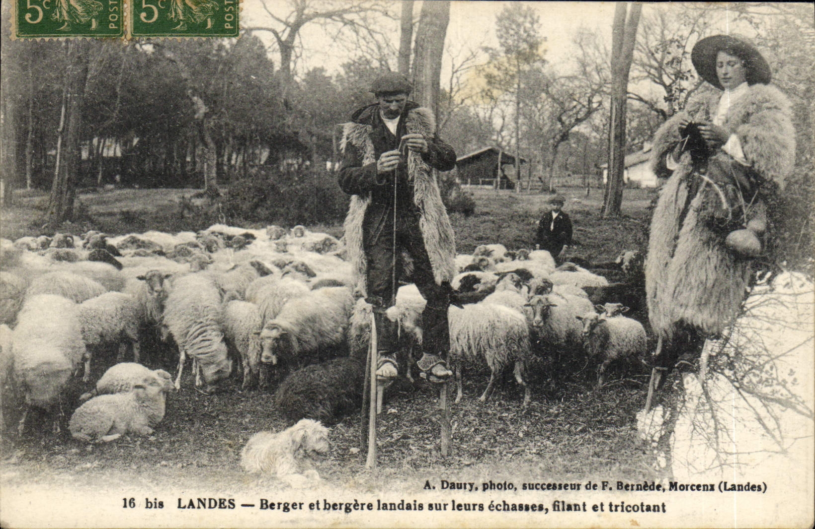 Berger et bergère landais sur leurs échasses, filant et tricotant — A. Dauruy, photo, successeur de F. Bernède, Morcenx (Landes)