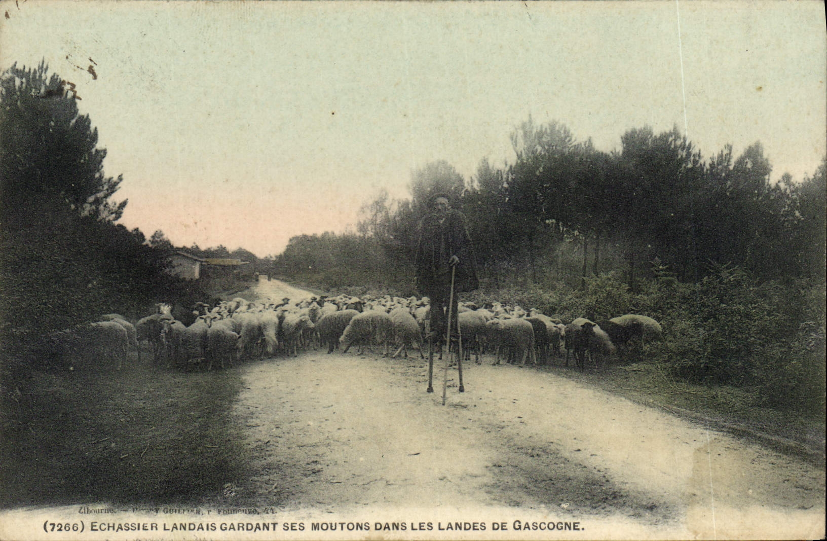Échassier landais gardant ses moutons dans les Landes de Gascogne — Zibourne, éditeur Phinemeux, n° 7266
