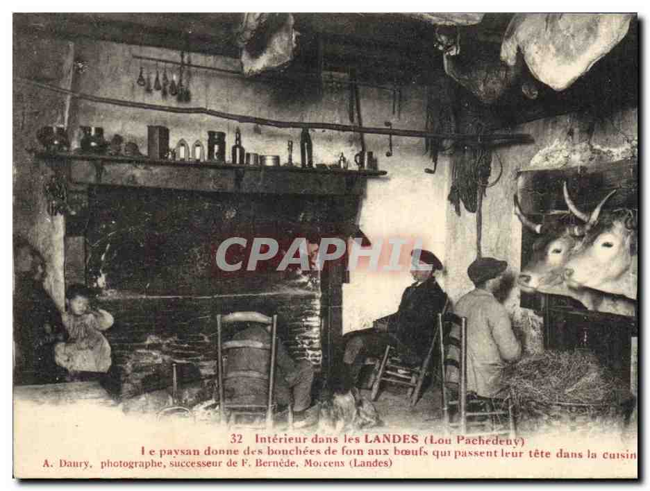 Intérieur dans les Landes (Lou Pachédeny) — Le paysan donne des bouchées de foin aux bœufs qui passent leur tête dans la cuisine — A. Daury, photographe, successeur de F. Bernède, Morcenx (Landes)