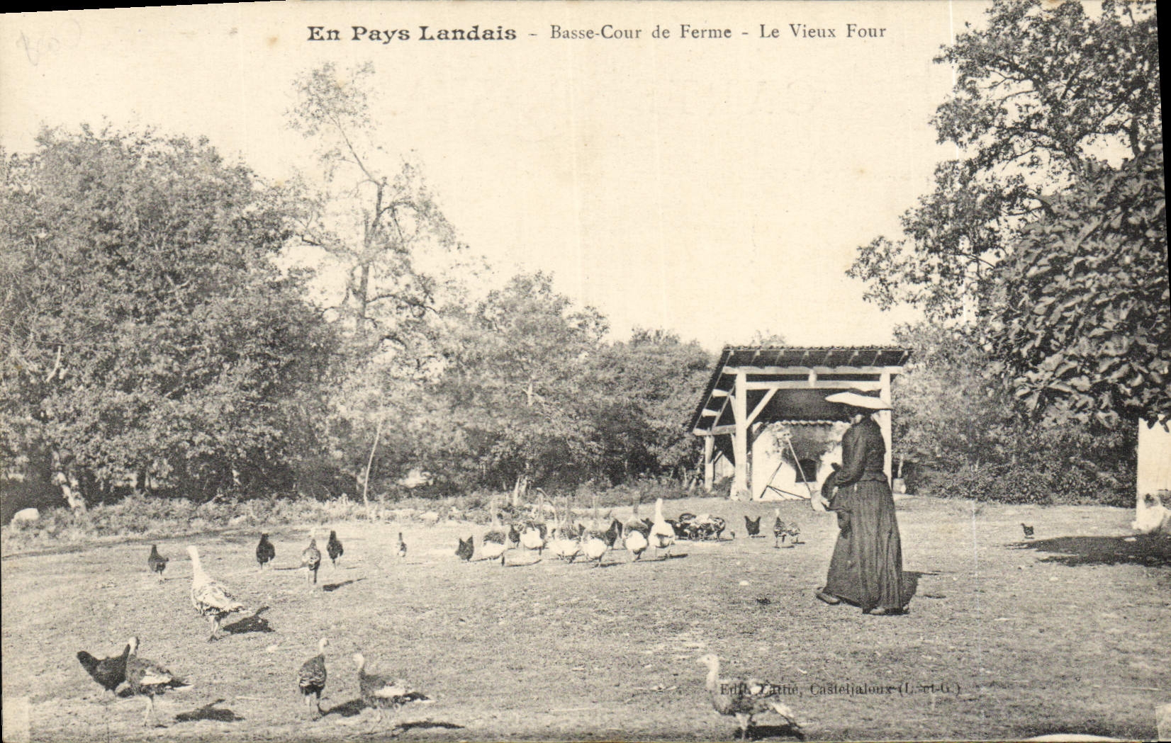 CPA Folklore En pays Landais Basse cour de ferme Le vieux four