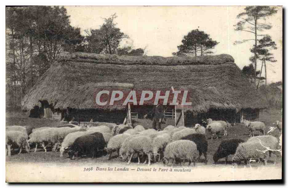 CPA Folklore Dans les Landes Devant le parc a moutons