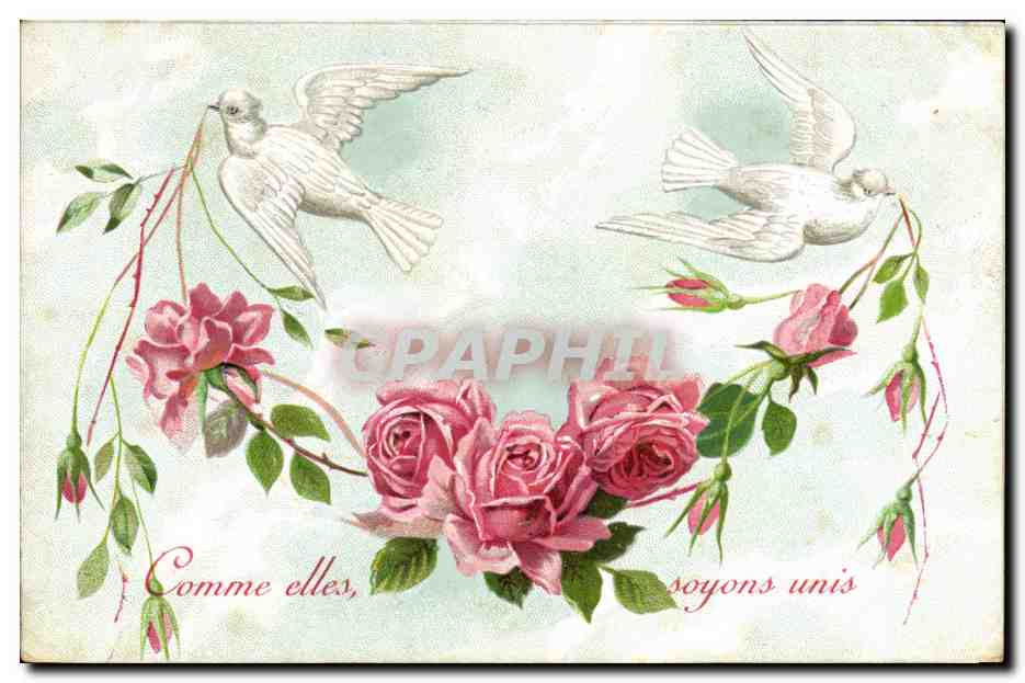 CPA Fantaisie Fleurs Colombes