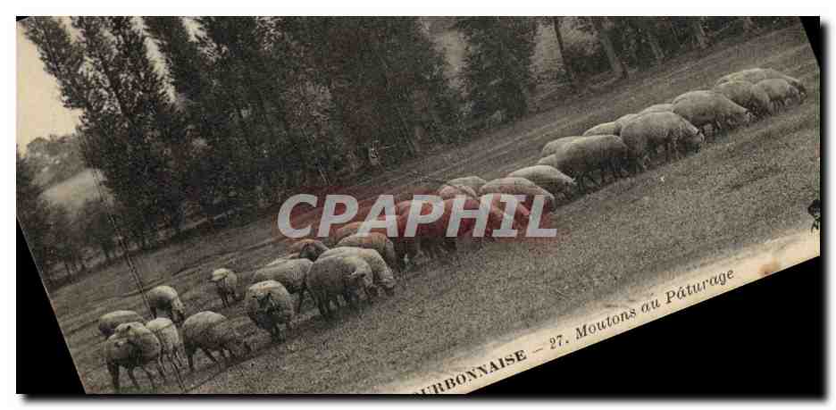 Bourgogne - Moutons au Pâturage — 27. Éditions de la Bourgogne