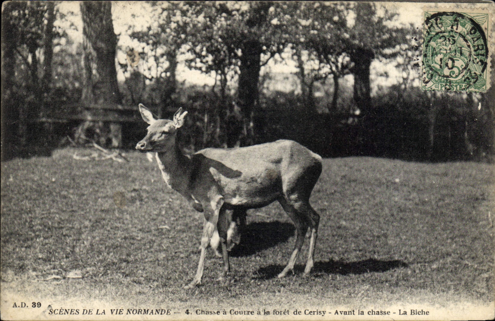 Chasse à Courtre à la forêt de Cerisy — Avant la chasse — La Biche — A.D. 39 — Scènes de la Vie Normande