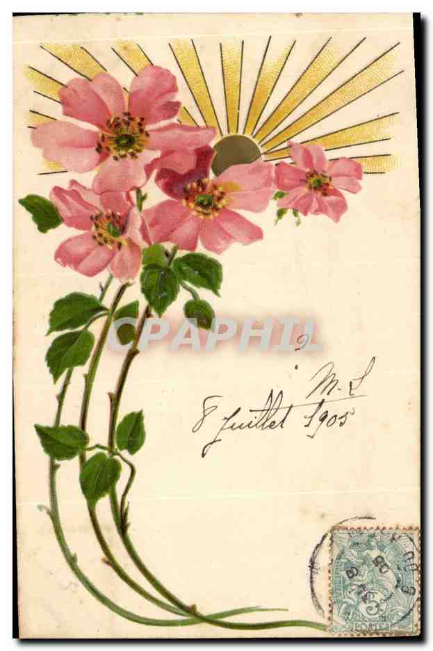 CPA Fantaisie Fleurs 