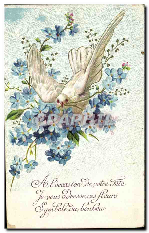 CPA Fantaisie Fleurs Colombe 