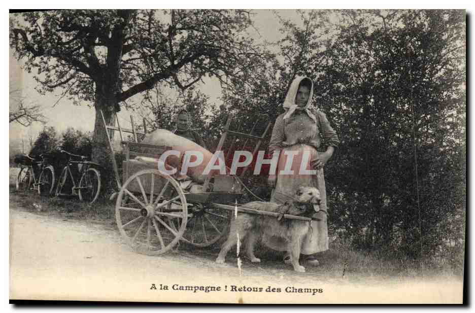 CPA Voiture a chien a la campagne REtour des champs Folklore TOP 